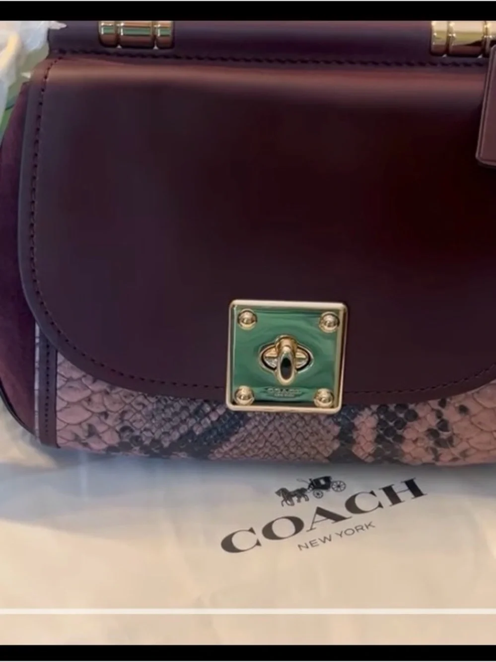 Coach Plum Leather Top-Handle Satchel with Pink Python Accent and Gold Hardware